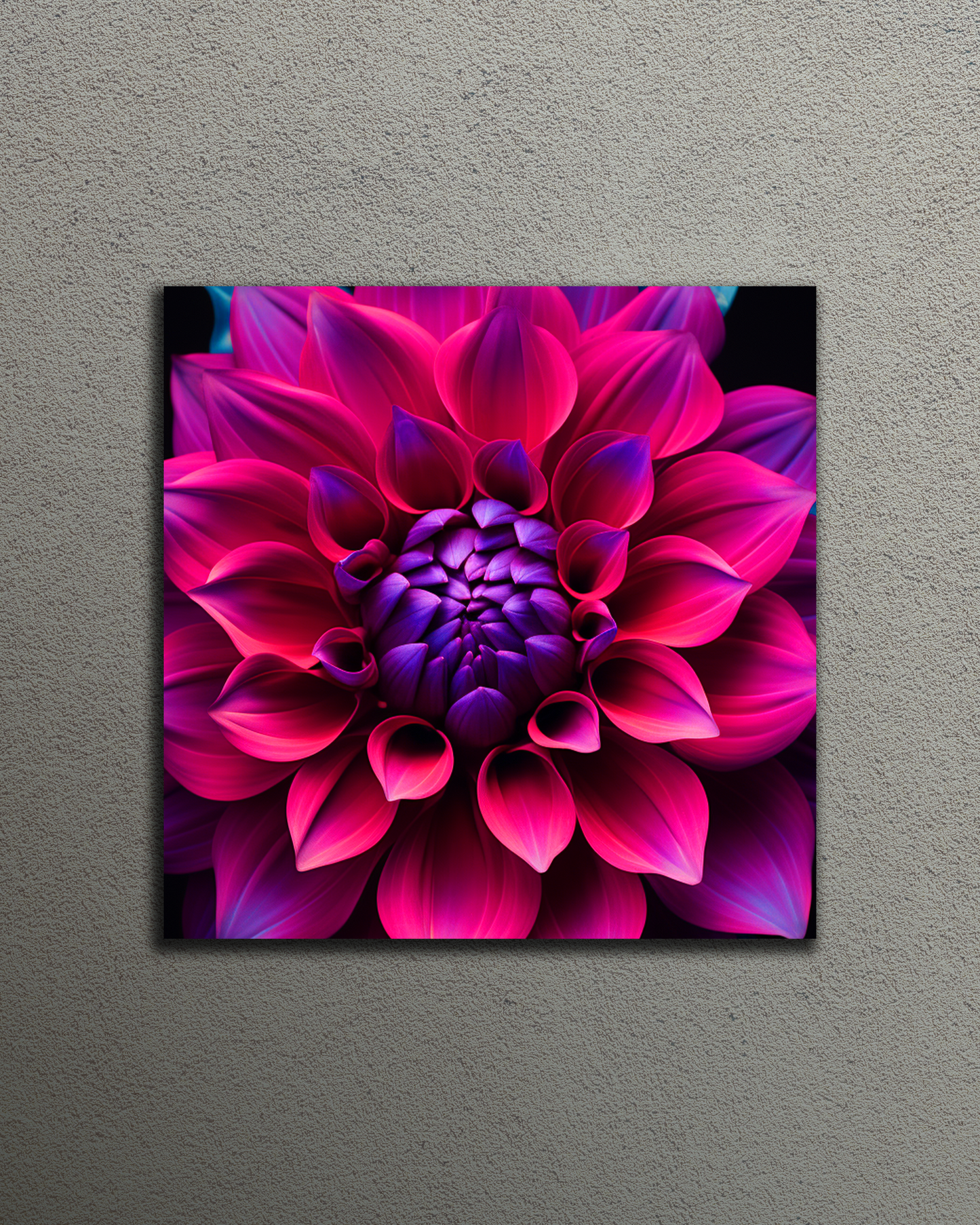 Magenta Flower