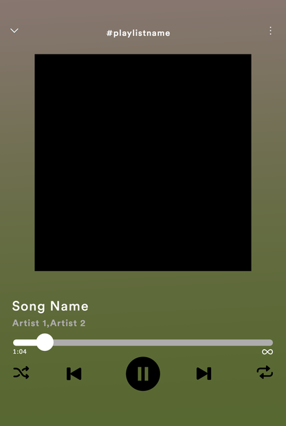 Custom Spotify Template