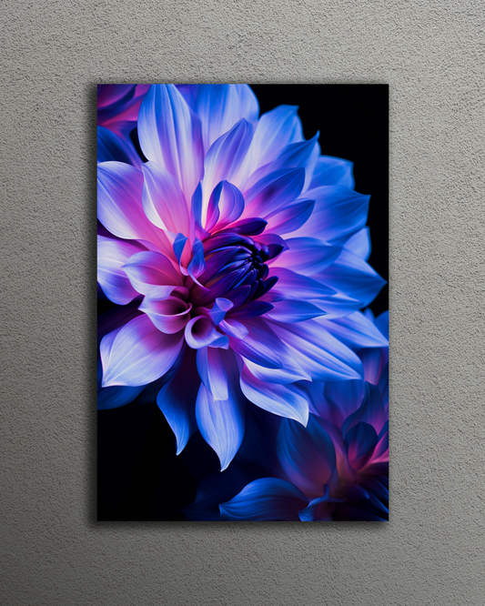 Blue & Purple Flower