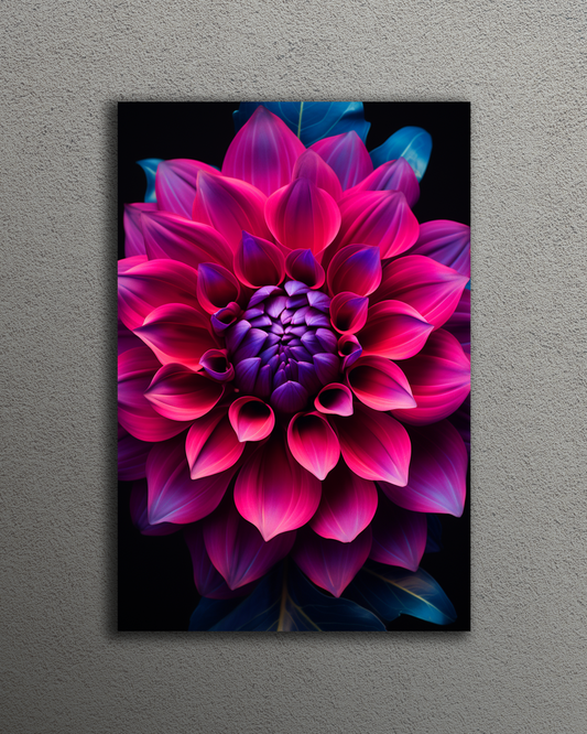 Magenta Flower
