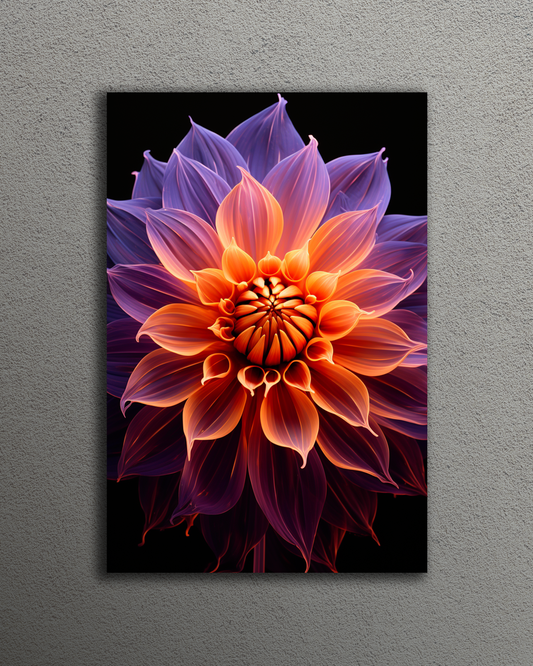Purple & Yellow Flower